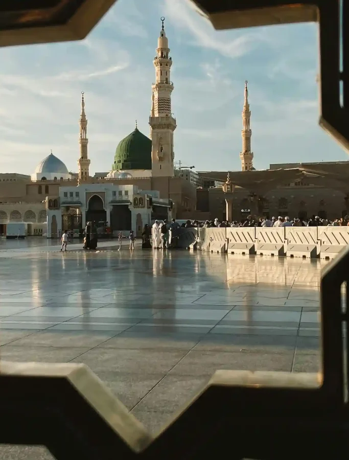 pexels-hatice-796619215-27131989